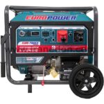 موتور برق 10 کیلووات سه گانه سوز یورو پاور سه فاز-تک فاز مدل EP31900DXEW-R-LPG.NG-EQ